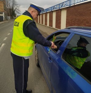 Policjant Wydziału Ruchu Drogowego Komendy Powiatowej Policji w Pabianicach obdarowuje kierującą tulipanem.