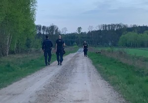 Policjanci wraz z psem służbowym przeczesują teren szukając zaginionej kobiety.