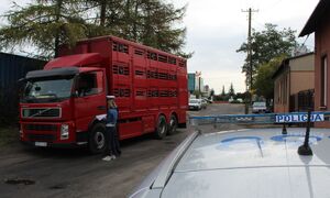 kontrola w kierunku ASF