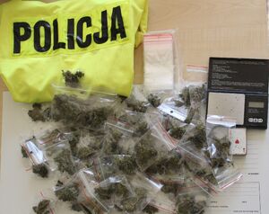 zabezpieczone narkotyki