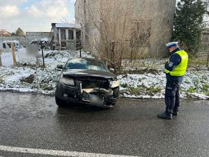 Policjant wykonujący czynności na miejscu zdarzenia drogowego.