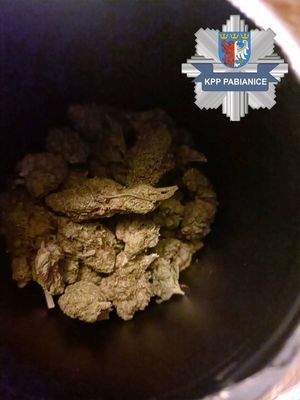 W prawym górnym rogu znajduje się logo Komendy Powiatowej Policji w Pabianicach.  Susz roślinny w pojemniku.