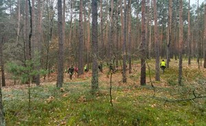 Służby poruszające się w lesie.