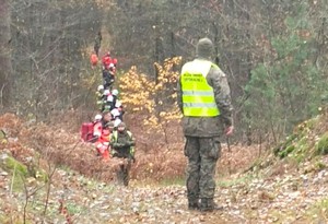 Służby biorące udział w manewrach przemieszczające się w lesie.
