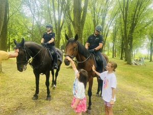 konie służbowe policji wraz z dziećmi