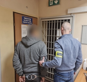stojący policjant razem z zatrzymanym kierującym