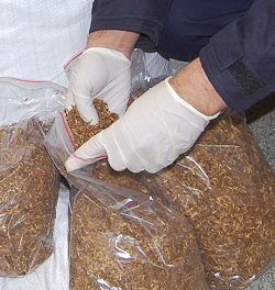 zabezpieczony tytoń przez policjantów